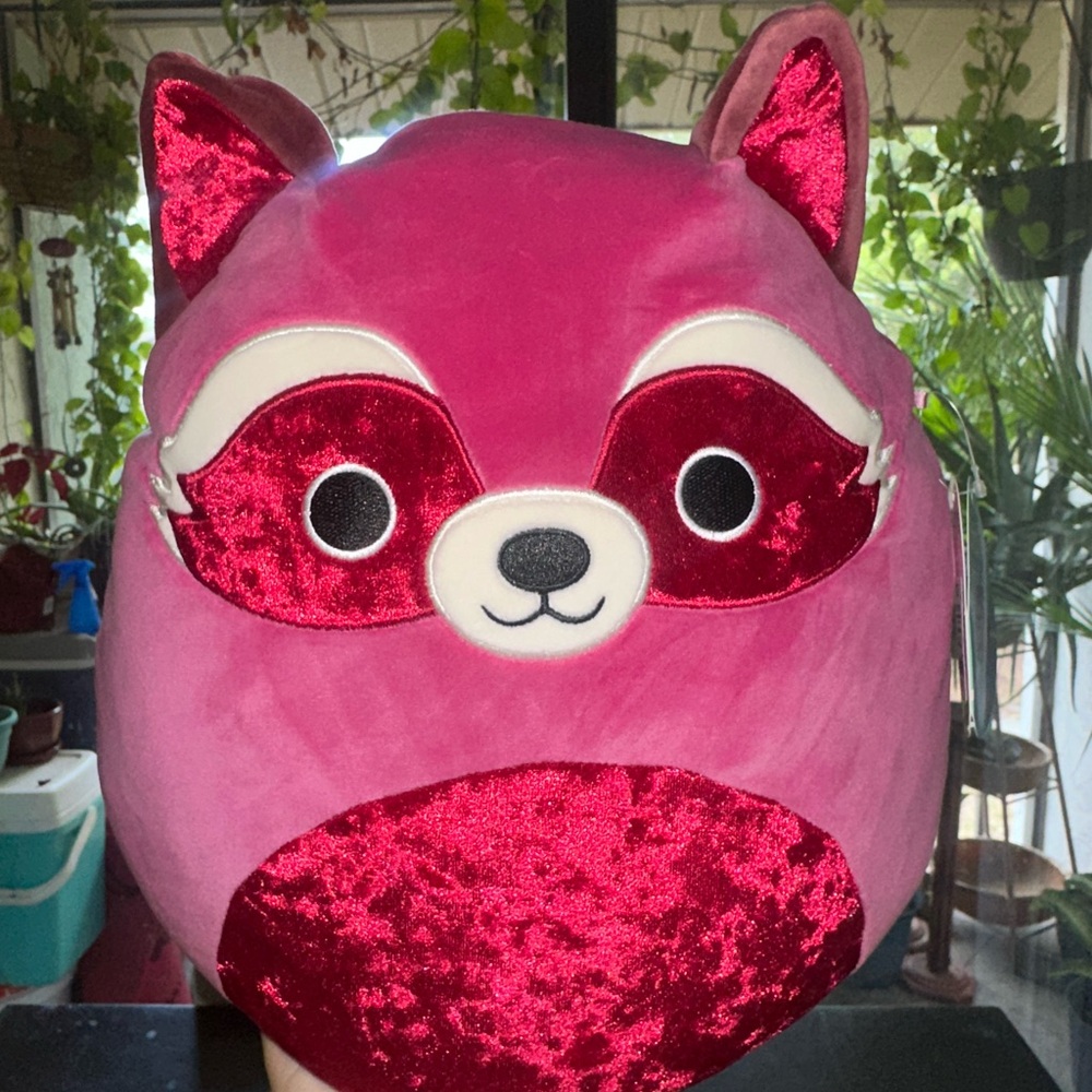 Squishmallow olivieri the racoon 12 NWT
